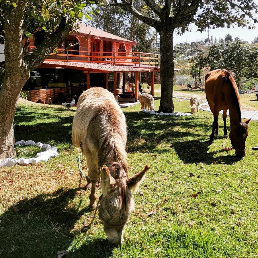 Puembo La Granja De Papa Alberto מראה חיצוני תמונה